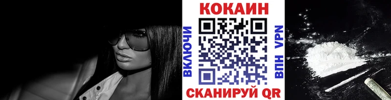 Купить  Чаплыгин  Cocaine Боливия 