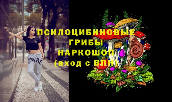 экстази Медвежьегорск