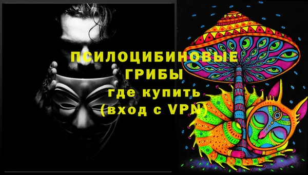 экстази Медвежьегорск