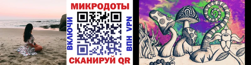 Псилоцибиновые грибы Psilocybine cubensis  Купить где  Чаплыгин 